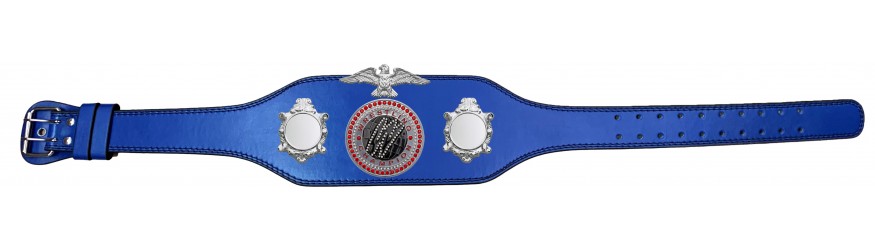 WRESTLING CHAMPIONSHIP BELT-BUD004/S/WRESTGEMS-4 COLOURS